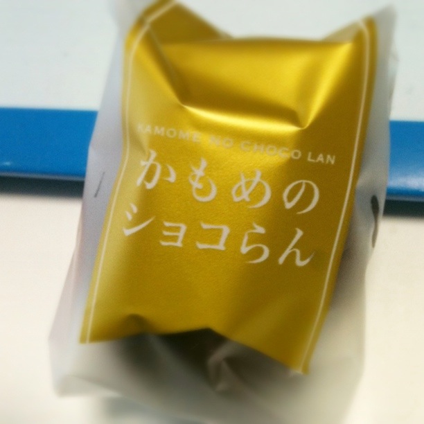 かもめの玉子 の姉妹品チョコレート味の かもめのショコらん を頂きました むらごんの思い込みweblog